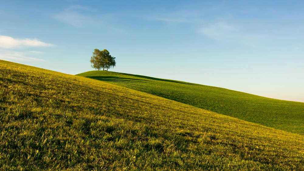 The Four Pillars of Wellbeing: Your Foundation for Strong Mental Health