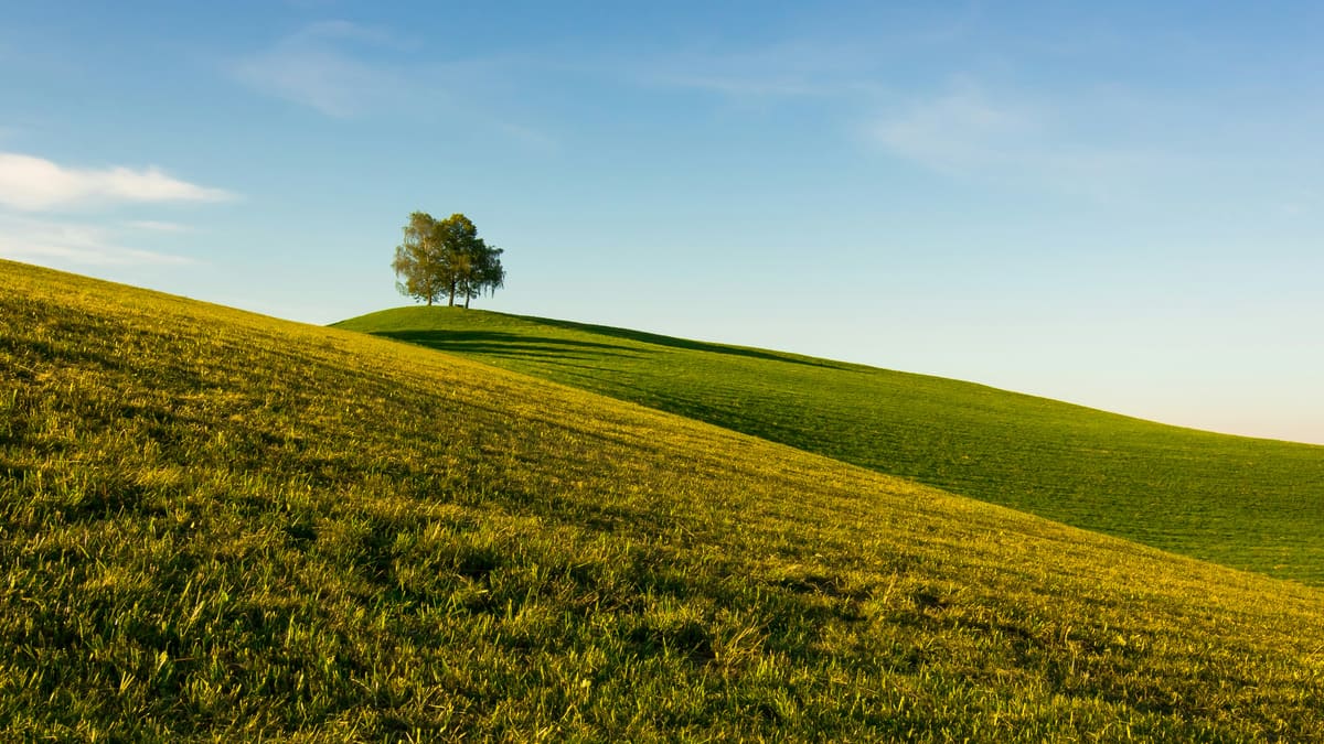 The Four Pillars of Wellbeing: Your Foundation for Strong Mental Health