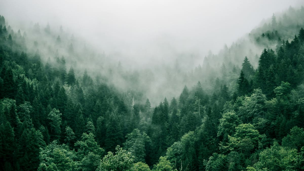 Understanding Anxiety: When Worry Becomes Overwhelming